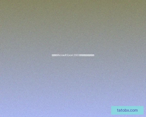 免费下载Microsoft Excel 2003完整版软件及安装使用教程